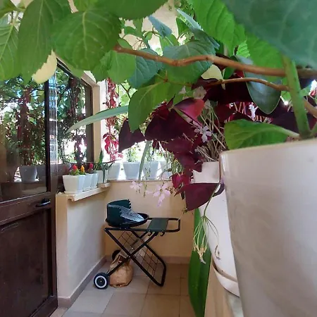 Tirana Hospitality Edas Place Alloggio in famiglia *