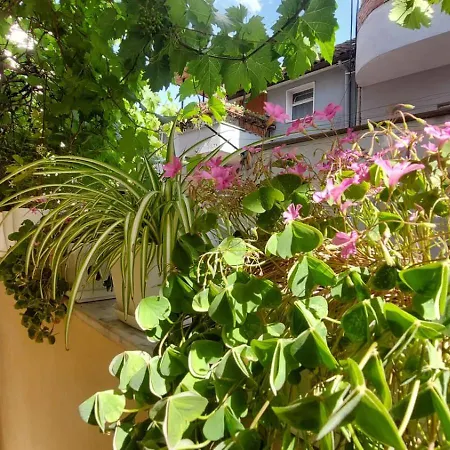 Tirana Hospitality Edas Place Quarto em Acomodações Particulares Tirana