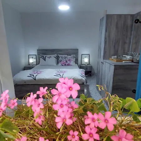 Quarto em Acomodações Particulares Tirana Hospitality Edas Place Tirana